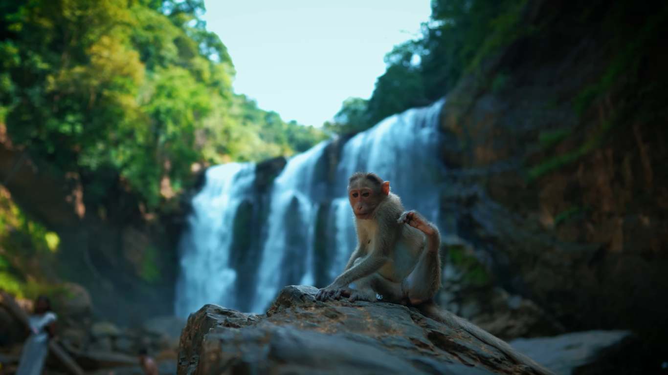 Yellapur Gokarna