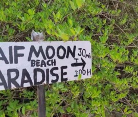Half Moon Beach Gokarna