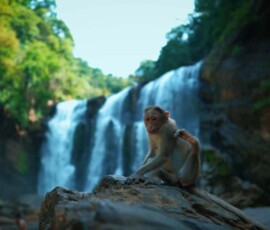 Yellapur Gokarna